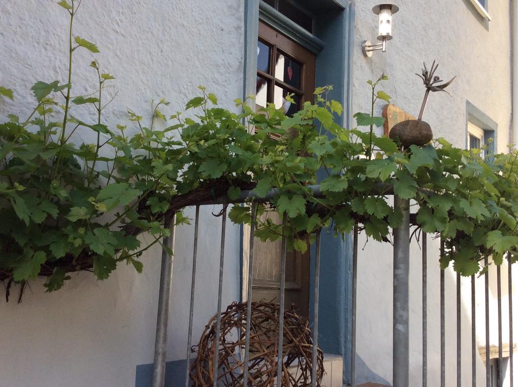 Apartment Winzerhaeuschen, Weingut Th. Mueller